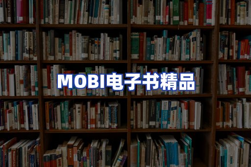 外文电子书产品